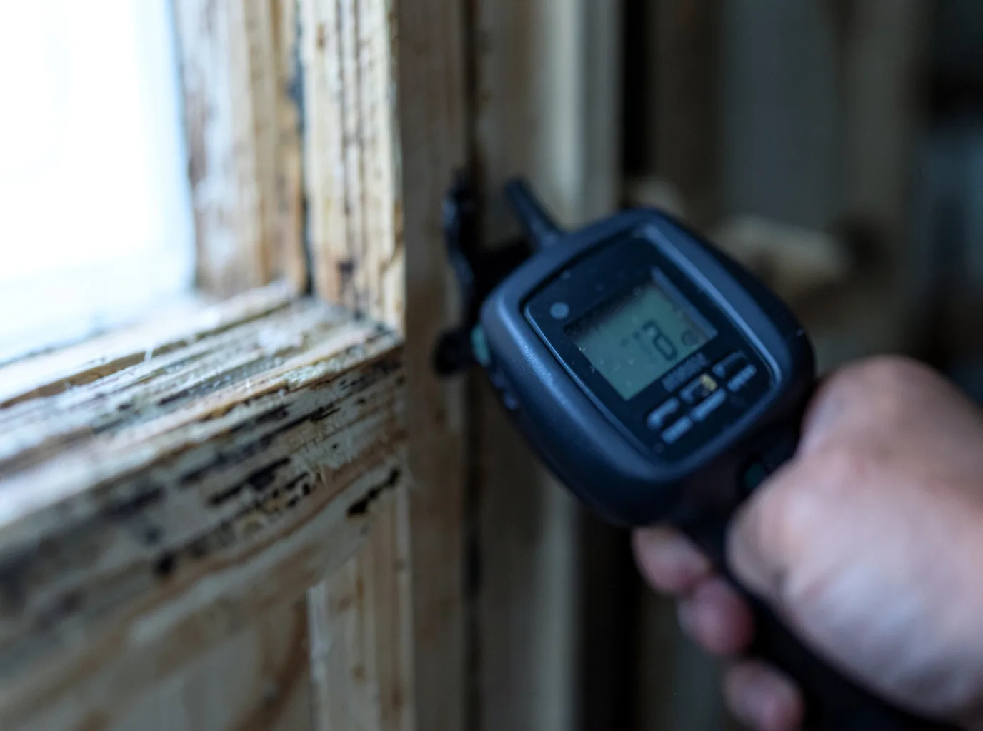Moisture Inspection And Documentation in Saint Stephen, MN